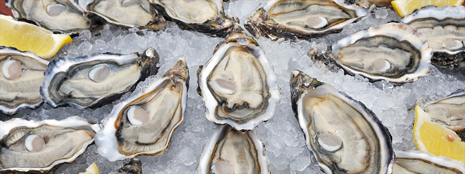 Acheter, conserver et ouvrir les huîtres du Bassin d'Arcachon Cap Ferret